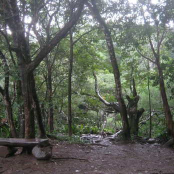 Twin Falls Trail - Hiking Near Me - Haiku, Hawaii Twin Falls Trail - Hiking Near Me - Haiku, Hawaii