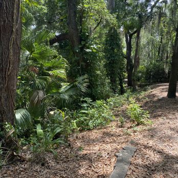 H. H. Dickson Azalea Park - Parks Near Me - Orlando, Florida
