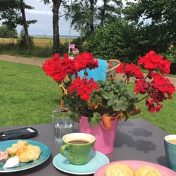 Ulrikas Butik & Café - Härlig trädgård och utsikt över havet!