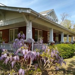 Wildflower Cottage for Children