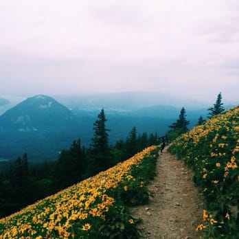 Dog Mountain Trail - Almost to the top! So gorgeous!!! - Hiking Near Me - White Salmon, Washington Dog Mountain Trail - Almost to the top! So gorgeous!!! - Hiking Near Me - White Salmon, Washington