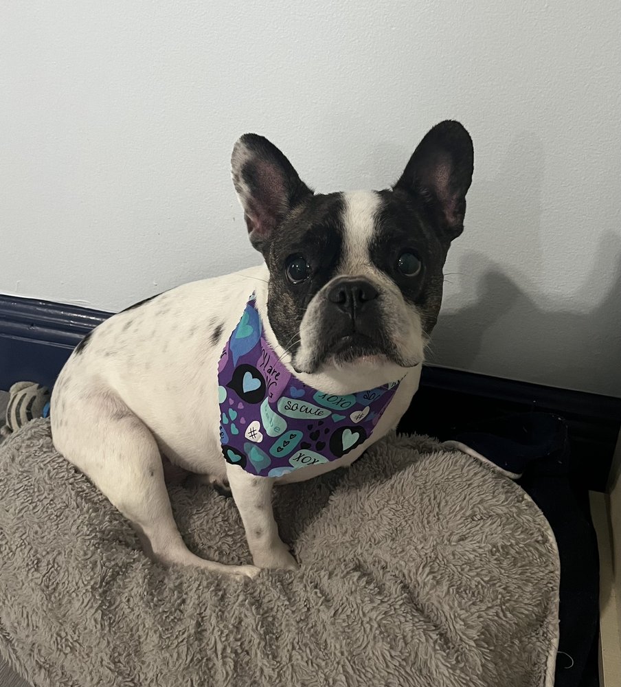 o Jupiter Florida Real Estate For Sale