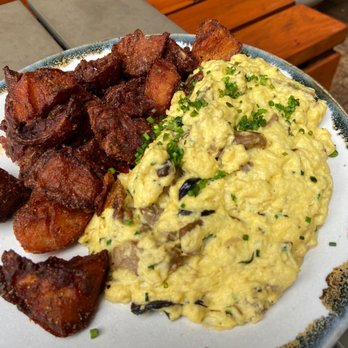 Bearcat CBD - Mushroom soft scramble - Coffee & Tea Near Me - New Orleans, Louisiana