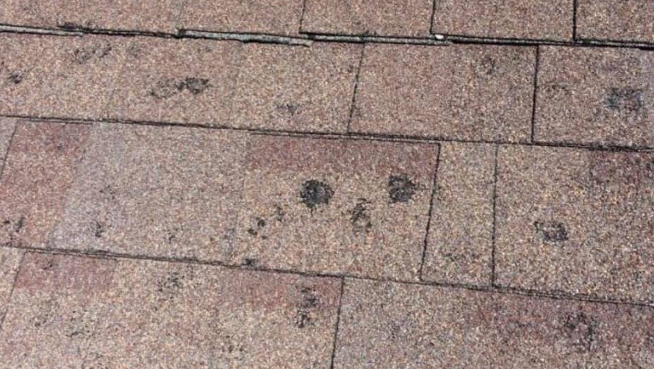 Slide of Riken Group