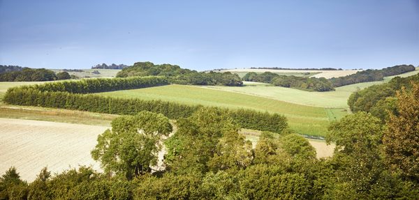 Wiston Estate Winery and Chalk Restaurant by null