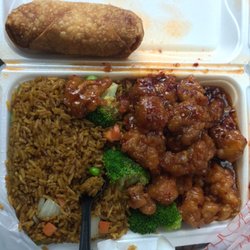 New Lin's Garden - General Tso's Lunch Special (Enough food for 2!)