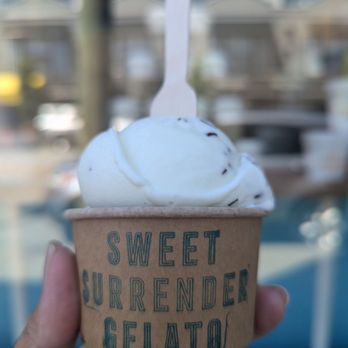 Sweet Surrender Gelato - Mint chip for the win! - Desserts Near Me - Richmond, British Columbia Sweet Surrender Gelato - Mint chip for the win! - Desserts Near Me - Richmond, British Columbia