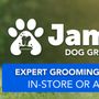Photo of Jamie's Dog Grooming