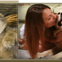 Photo of Attleboro Veterinary Clinic