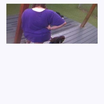 Taurus Academy Lamar - My dog leashed for no reason with staff leaning on a pole - Pet Training Near Me - Austin, Texas