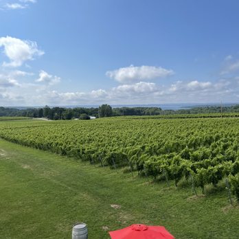 Bonobo Winery - Wineries Near Me - Traverse City, Michigan
