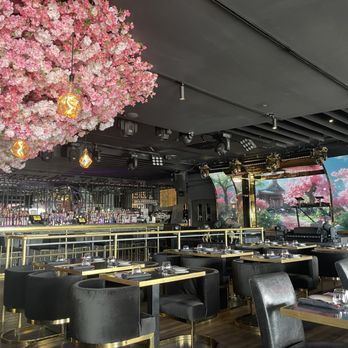 Sky Wise Lounge - Asian Fusion Near Me - Brooklyn, New York Sky Wise Lounge - Asian Fusion Near Me - Brooklyn, New York