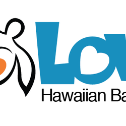 Love Hawaiian BBQ