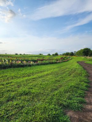 Wilson's Orchard & Farm (Des Moines) by null