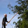Photo of All Tree Care