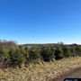 Photo of Walsh Tree Farm