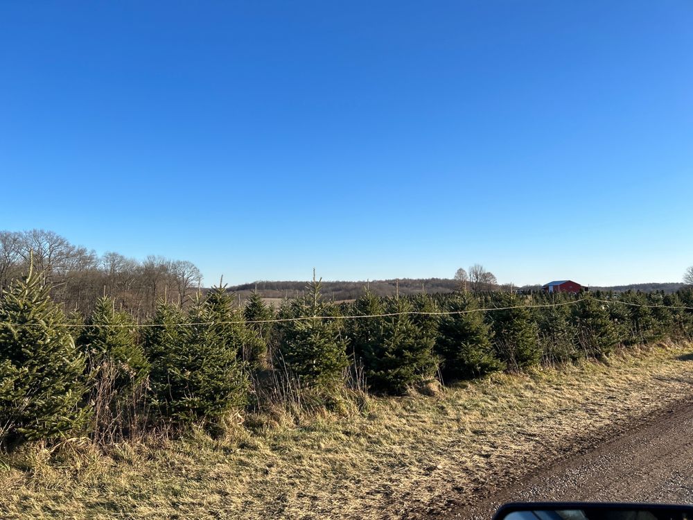 WALSH TREE FARM - TEMP. CLOSED - Updated July 2026 - 9068 Eden Church ...
