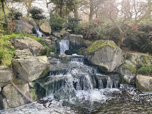 Kyoto Garden by null