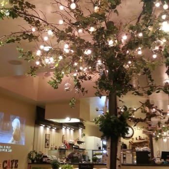 Cafe Bench - Cute tree in the middle of the cafe with Frozen playing in the back - Cafes Near Me - Flushing, New York