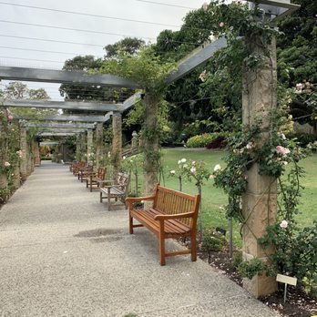 Royal Botanic Gardens - Botanical Gardens Near Me - Sydney, NSW Royal Botanic Gardens - Botanical Gardens Near Me - Sydney, NSW