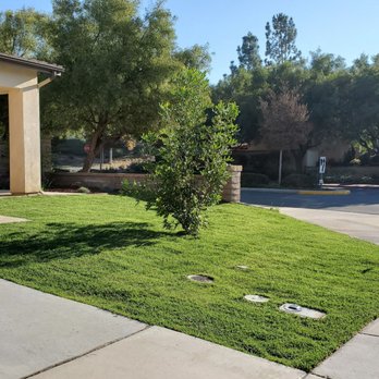 Haro Landscape Construction - Right front with new carrotwood tree - Landscaping Near Me - Menifee, California Haro Landscape Construction - Right front with new carrotwood tree - Landscaping Near Me - Menifee, California
