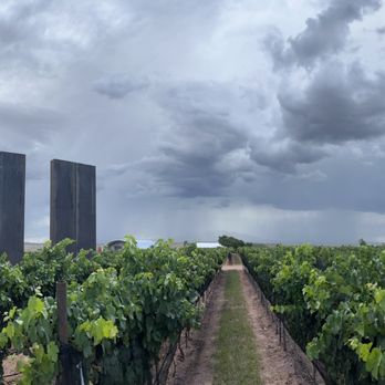 Los Milics Vineyards - Wine Tasting Room Near Me - Elgin, Arizona