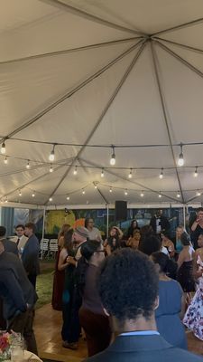 Paradigm Gardens by null