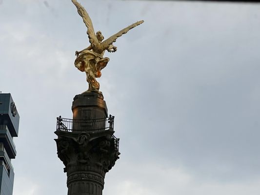 The Angel of Independence by null