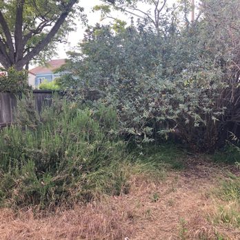 Haul U Need Yard Services - Before - Landscaping Near Me Haul U Need Yard Services - Before - Landscaping Near Me