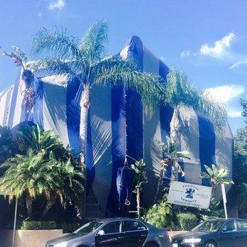 Escocia Termite - Pest Control Near Me - San Pedro, California Escocia Termite - Pest Control Near Me - San Pedro, California