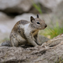 Photo of Expest Exterminating Pest Control