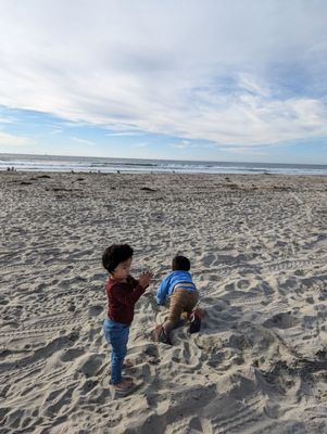 Mission Beach Park by null