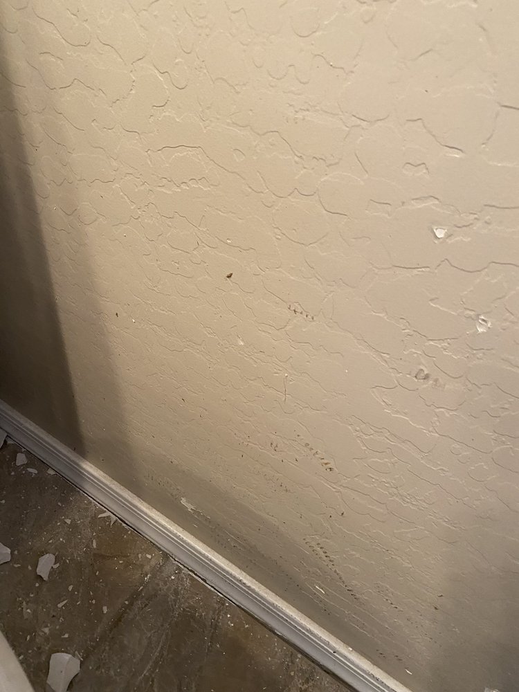Slide of Blue Plumbing & Drain Cleaning