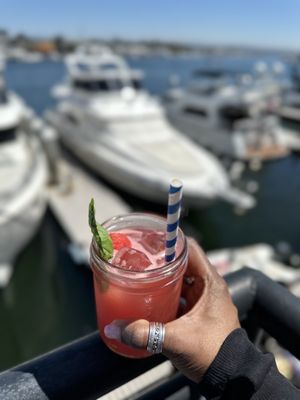 Malibu Farm Lido by null