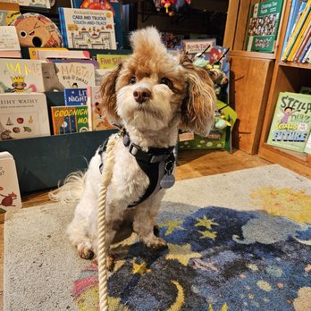 Fountain Bookstore - Dog-friendly! - Bookstores Near Me - Richmond, Virginia