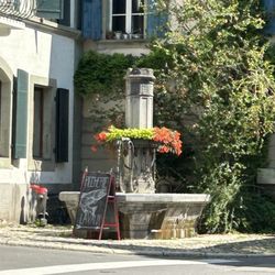 Auberge du Raisin
