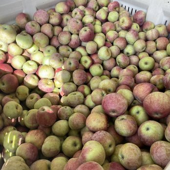 A.B. Orchards - Apples. - Farmers Market Near Me - Paradise, Pennsylvania A.B. Orchards - Apples. - Farmers Market Near Me - Paradise, Pennsylvania