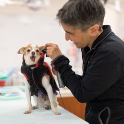 San Francisco SPCA Veterinary Hospital