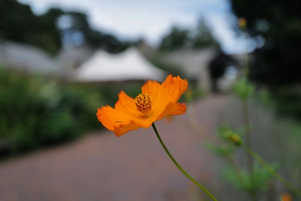Blue Hill At Stone Barns by null