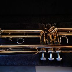 CA House Music - My trumpet