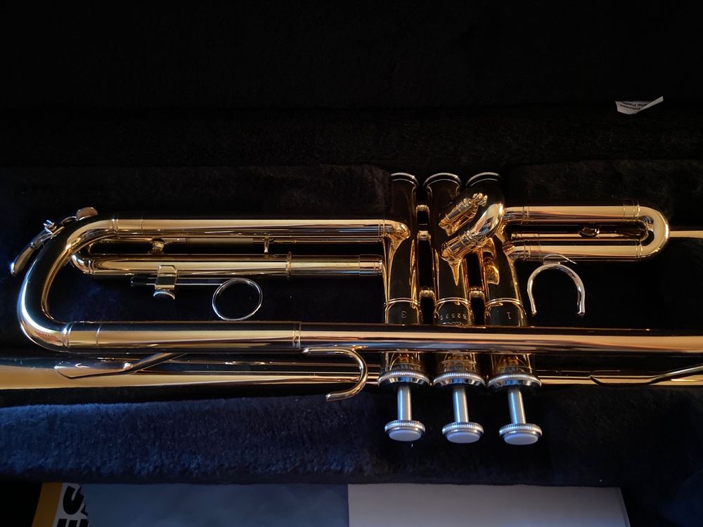 CA HOUSE MUSIC Updated August 2024 828 Market St, Zanesville, Ohio Musical Instruments