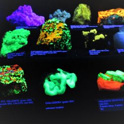 Contra Costa Mineral & Gem Show - Past Show of the CCMGS.