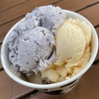 Davis Creamery - 3 Scoop: Blueberry (left) , Apricot Rose (right), Trifecta (bottom) - Ice Cream & Frozen Yogurt Near Me - Davis, California Davis Creamery - 3 Scoop: Blueberry (left) , Apricot Rose (right), Trifecta (bottom) - Ice Cream & Frozen Yogurt Near Me - Davis, California