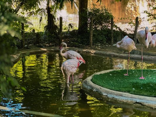 Fort Worth Zoo by null