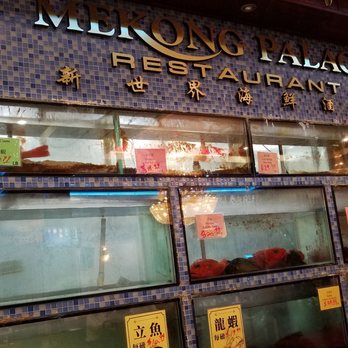 Mekong Palace - Fish tanks for fresh seafood offerings - Dim Sum Near Me - Mesa, Arizona Mekong Palace - Fish tanks for fresh seafood offerings - Dim Sum Near Me - Mesa, Arizona