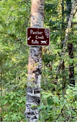 Panther Creek Falls by null