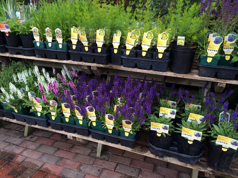 VAN ZEELAND NURSERY & LANDSCAPE 14 Photos 2600 N CASALOMA DR, APPLETON, WI Yelp