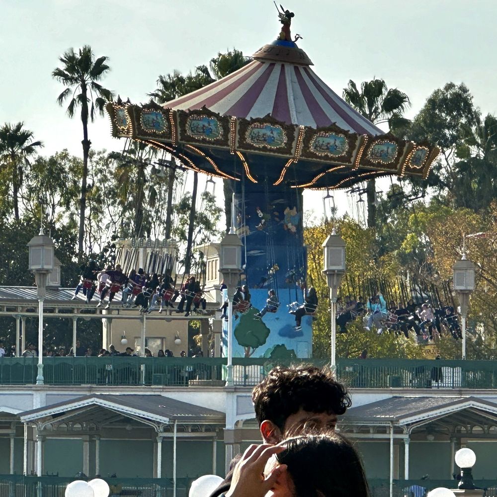 Swings Swings