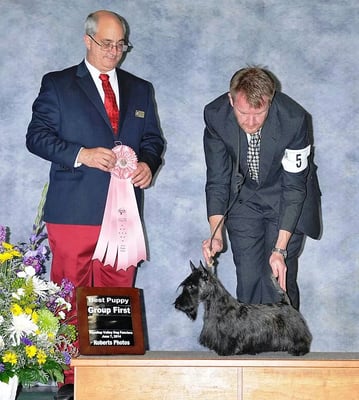 Highland Grooming Company