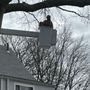 Photo of Joe Howard Tree Service